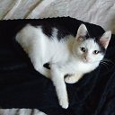 ���� �������, ������, 42 ���� - ��������� 18 ������ 2026