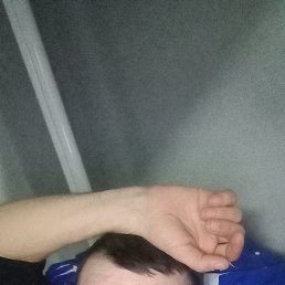 ������, 40 ���, ������������