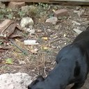 ���� Olyk, �����������, 60 ��� - ��������� 20 ������ 2026 � ������ ���� ����������
