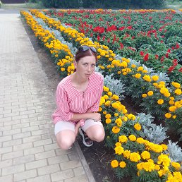 �����, 26 ���, �������