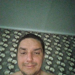  , 38 , 