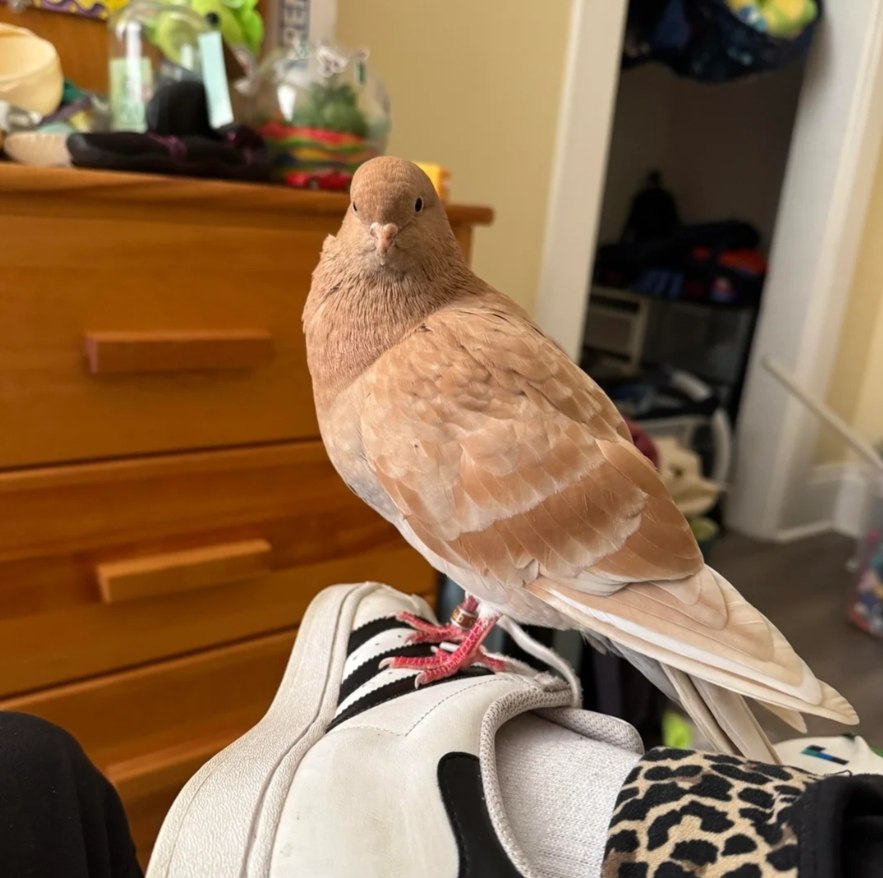        .    ,        ... - 7