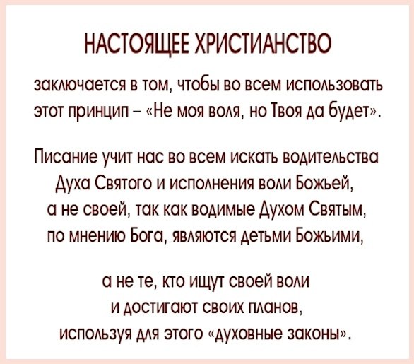 �������� - 7 �������� 2026 � 08:02 - 4