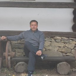 , 56, 