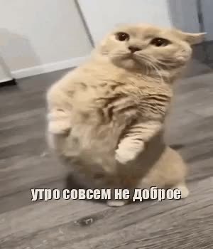 GIF Preview