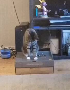 GIF Preview