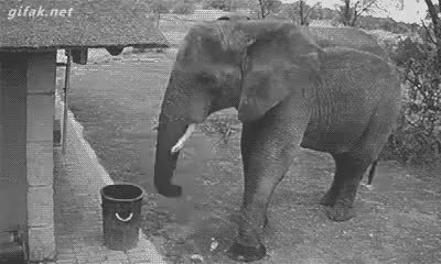 GIF Preview