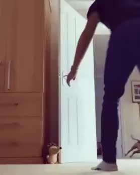 GIF Preview