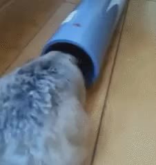 GIF Preview
