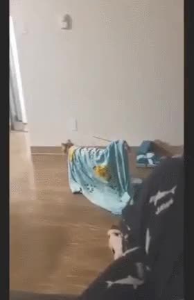 GIF Preview