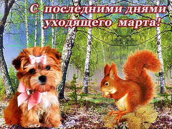 Последние Дни Картинки