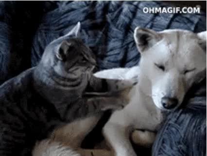 GIF Preview