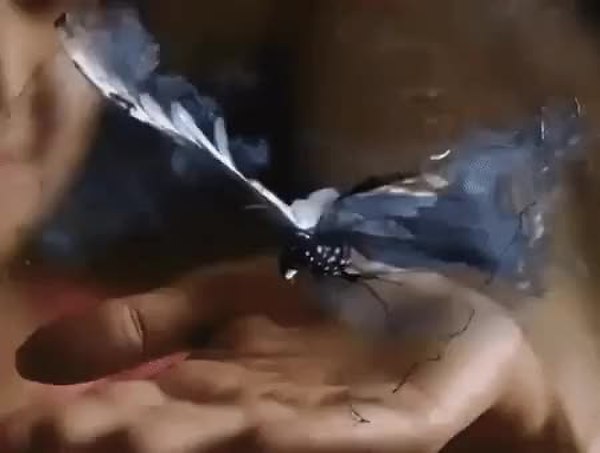 GIF Preview