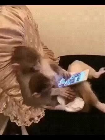 GIF Preview