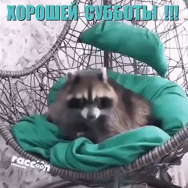 GIF Preview