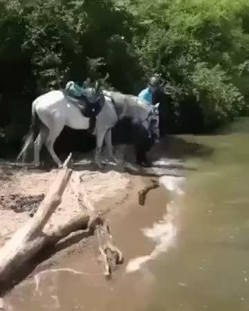 GIF Preview