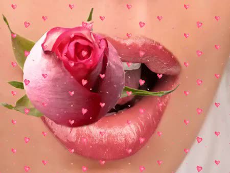 GIF Preview