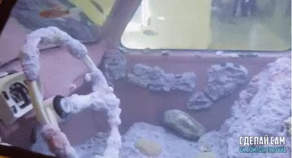 GIF Preview