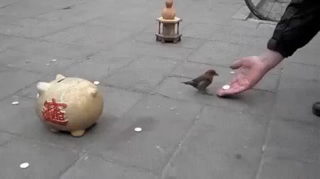 GIF Preview