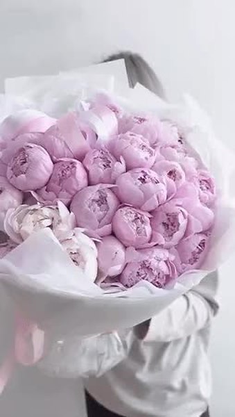 GIF Preview