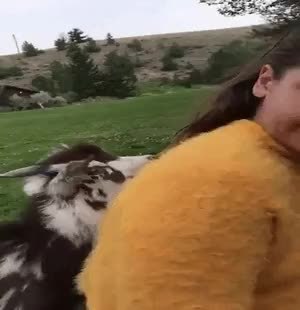 GIF Preview