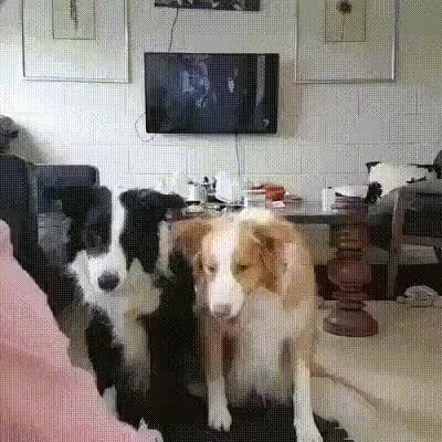 GIF Preview