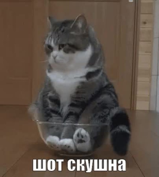 GIF Preview