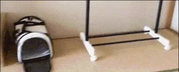 GIF Preview
