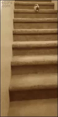 GIF Preview