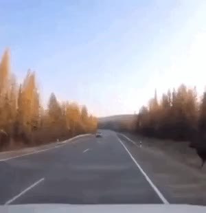 GIF Preview