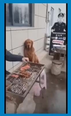 GIF Preview