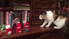 GIF Preview