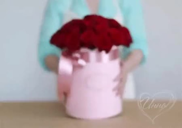 GIF Preview