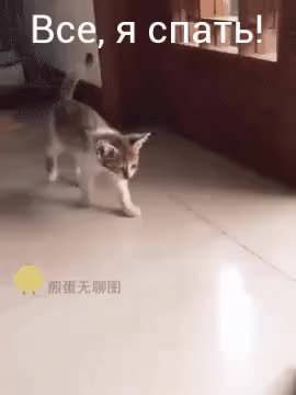 GIF Preview