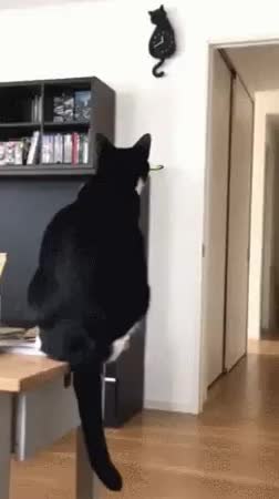 GIF Preview