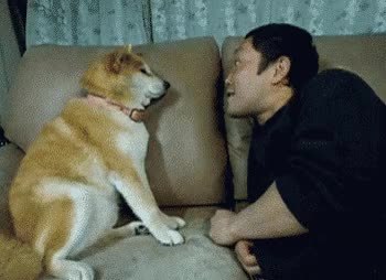 GIF Preview