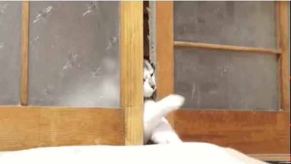 GIF Preview