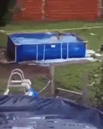 GIF Preview