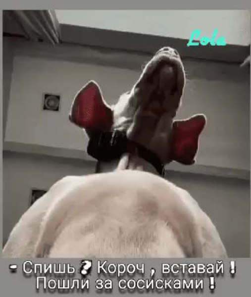 GIF Preview
