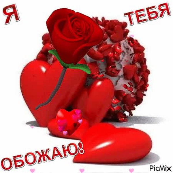 Открыток, гиф открытки я тебя обожаю