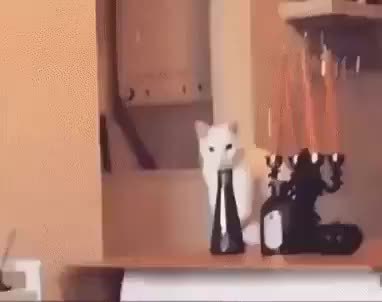 GIF Preview