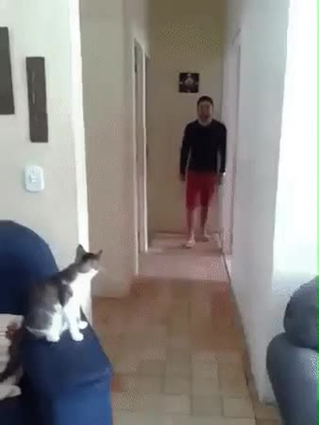 GIF Preview
