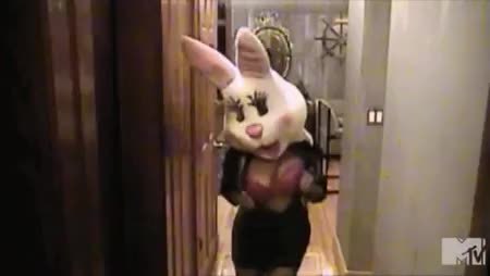GIF Preview