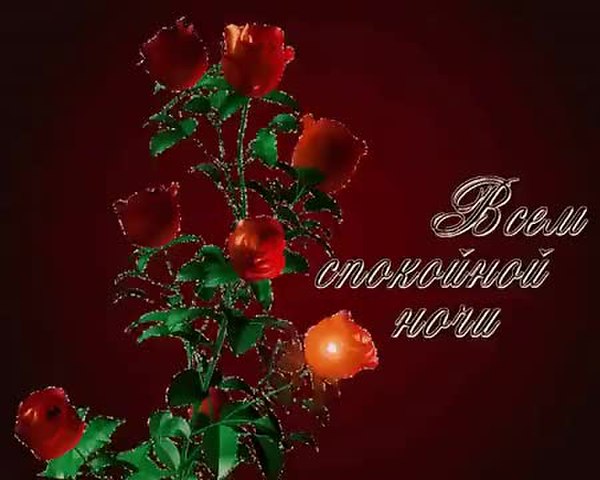 GIF Preview