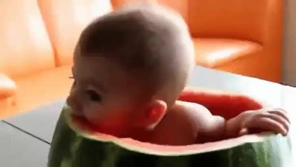 GIF Preview