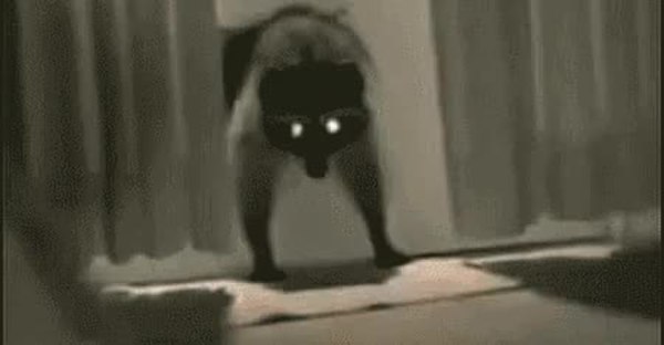 GIF Preview