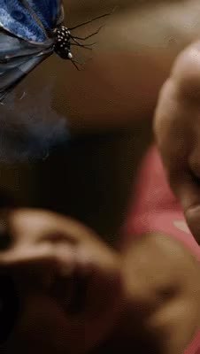 GIF Preview