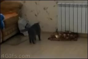 GIF Preview