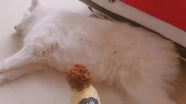 GIF Preview
