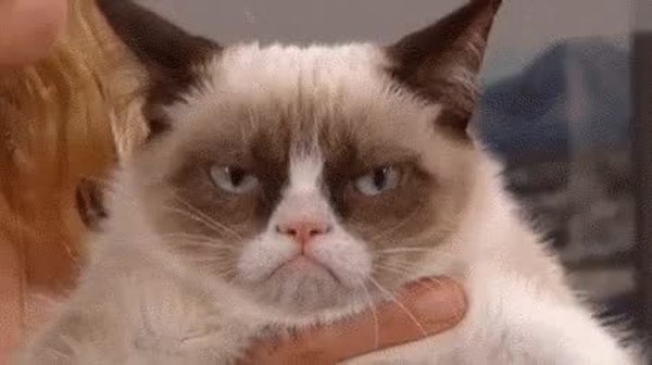 GIF Preview
